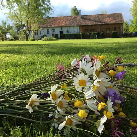 Guest house Cseri Porta Szalafo